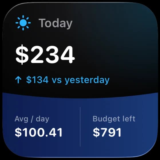 Small widget: today's spending